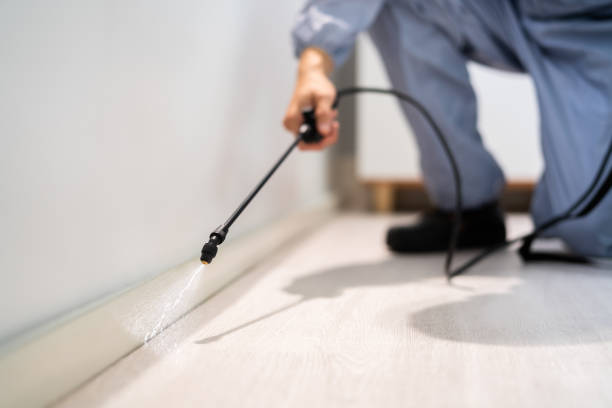 Certified termite inspector examining foundation in Gainesville
