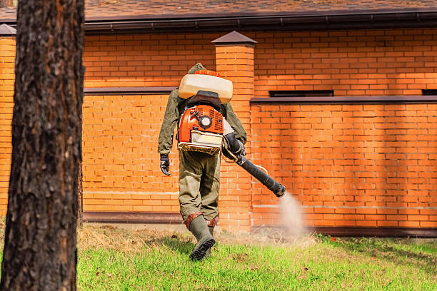 Top rated local Wasp Removal specialists in Gainesville, VA